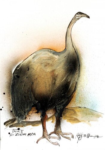 New Zealand Moa by Ralph Steadman, Print for Sale on Singulart