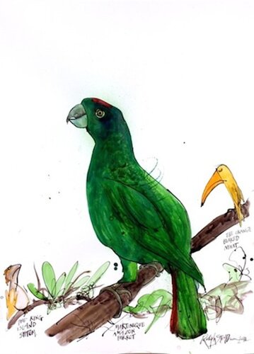 Martinique Amazon Parrot by Ralph Steadman, Print for Sale on Singulart