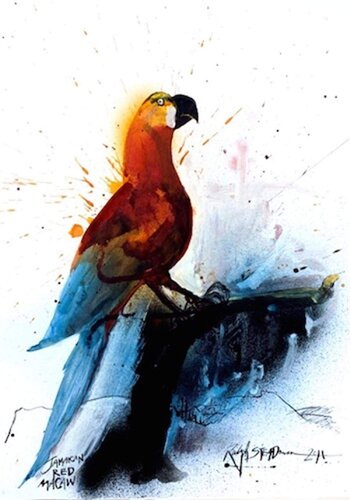 Jamaican Red Macaw by Ralph Steadman, Print for Sale on Singulart