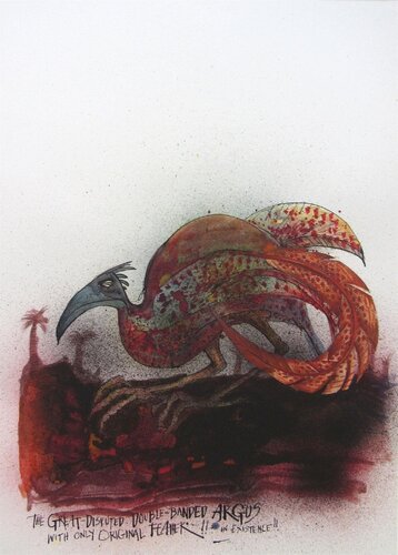 Double Banded Argus by Ralph Steadman, Print for Sale on Singulart