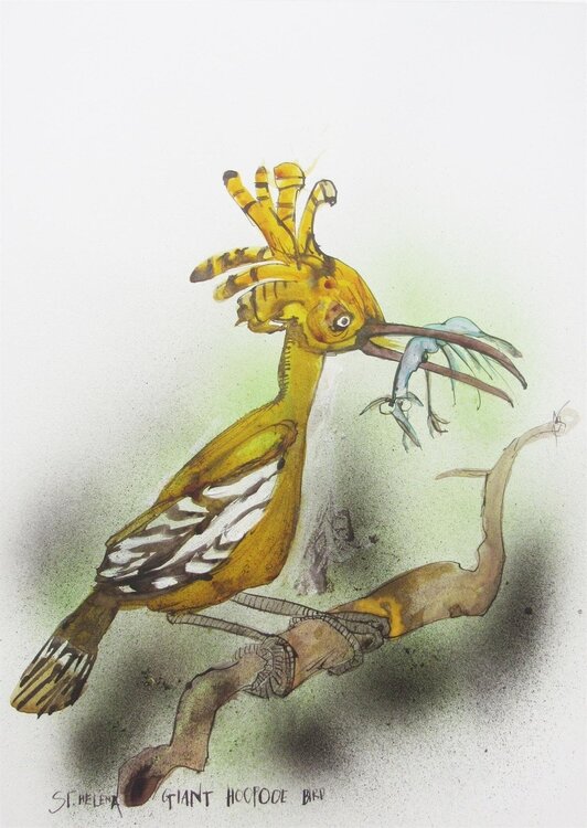 St Helena Giant Hoopoe Ralph Steadman