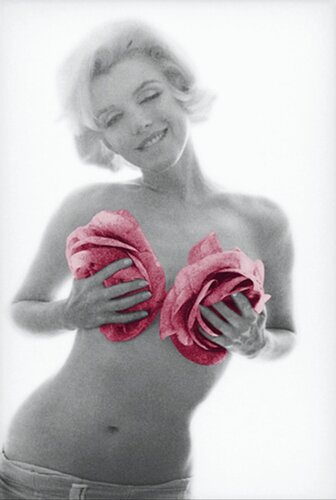 Marilyn Pink Roses Large van Bert Stern, Fotografie te koop op Singulart