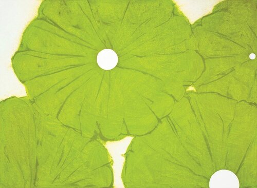 Four Green Poppies April 24, 2024 DS von Donald Sultan, Druck kaufen auf Singulart