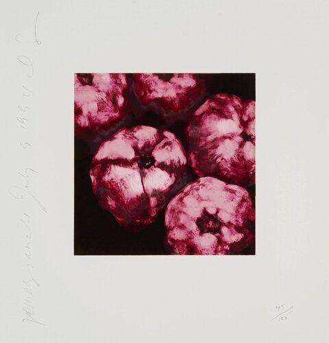 Pomegranates (from the Fruits and Flowers III series), 1994 di Donald Sultan, Stampa in vendita su Singulart