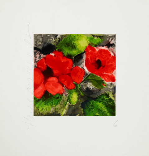 Flowers (Red Poppies) by Donald Sultan, Print for Sale on Singulart