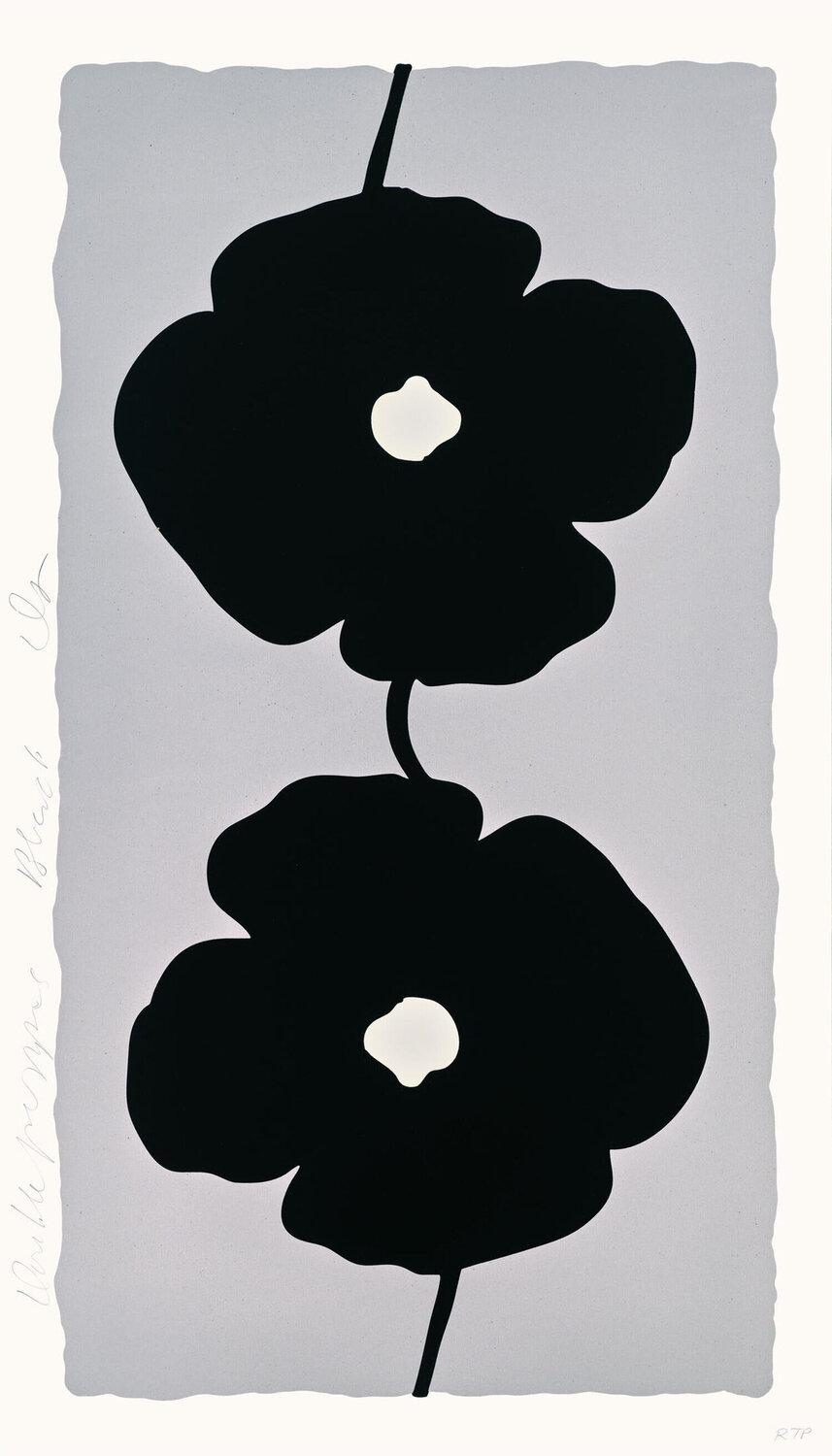 Double Poppies Black Donald Sultan Stampa in vendita