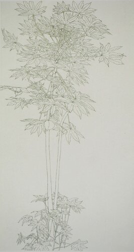 Feuillages : Aralia IV by Sam Szafran, Print for Sale on Singulart