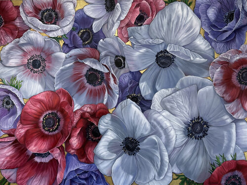 A Crowd of Anemones van Catherine Kirkwood, Schilderij te koop op Singulart