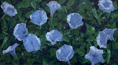 Datura and Fireflies von Catherine Kirkwood, Malerei kaufen auf Singulart