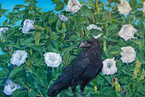 Raven and Datura van Catherine Kirkwood, Schilderij te koop op Singulart