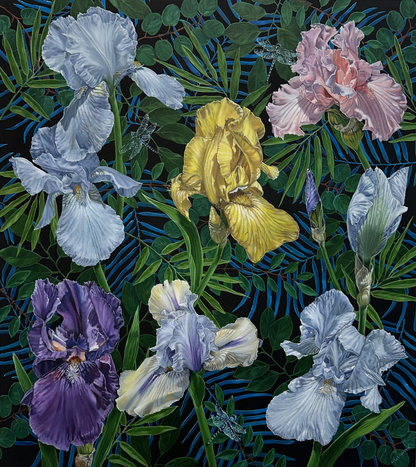 Iris Spring Catherine Kirkwood