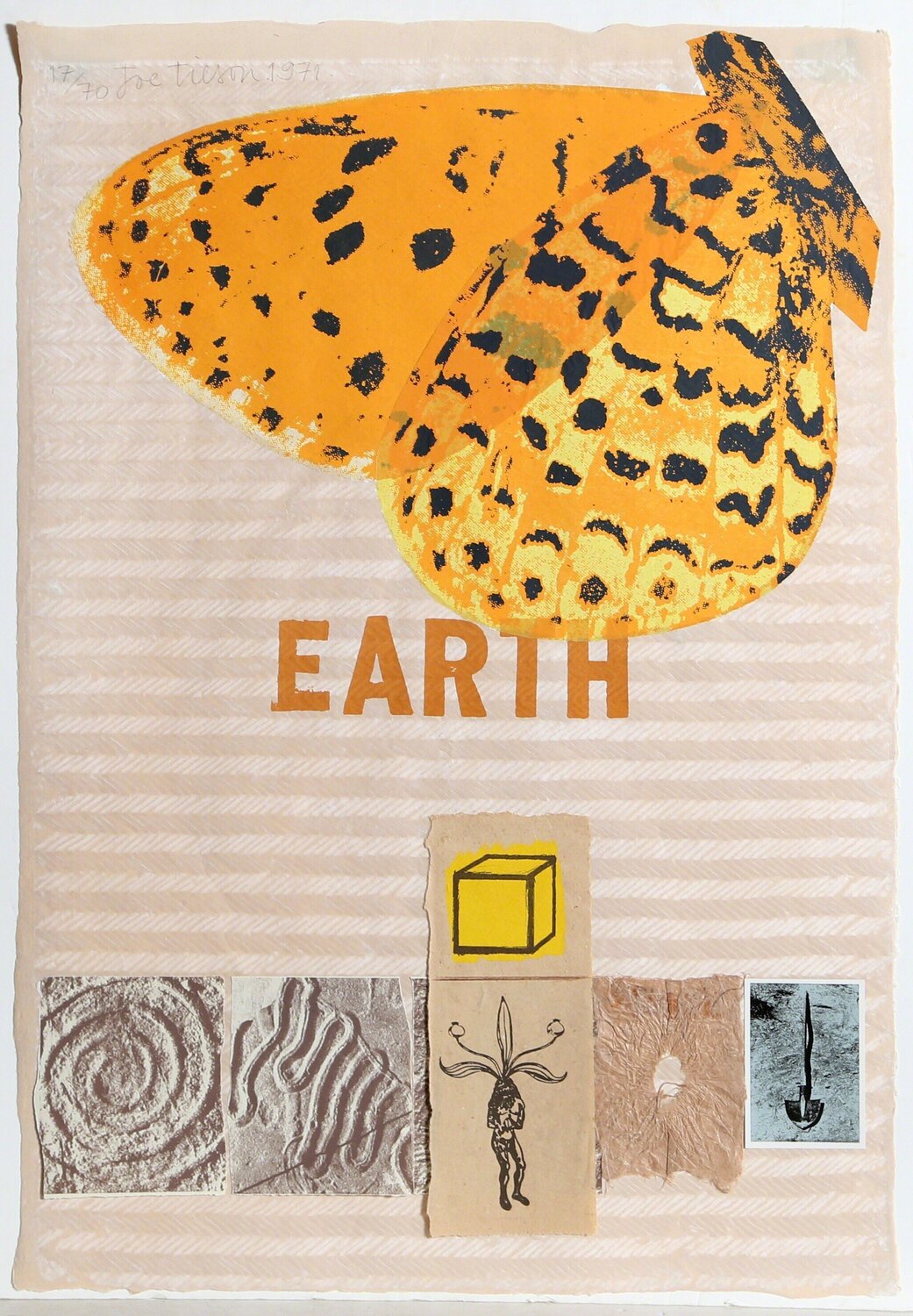 Earth (With Butterfly) Joe Tilson Stampa in vendita
