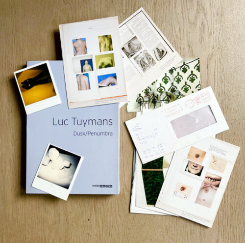 Dusk/Penumbra (book) de Luc Tuymans, Otros medios a la venta en Singulart