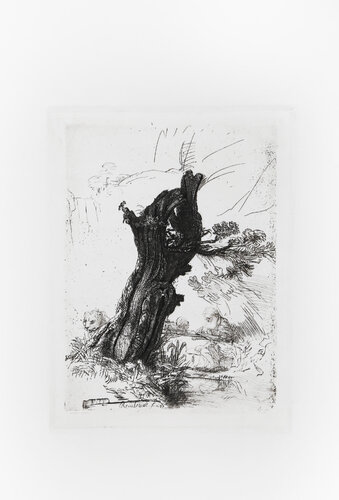 St. Jerome beside a pollard willow by Rembrandt van Rijn, Print for Sale on Singulart