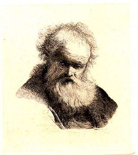 Bust of an Old Man with Flowing Beard and White Sleeve by Rembrandt van Rijn, Print for Sale on Singulart