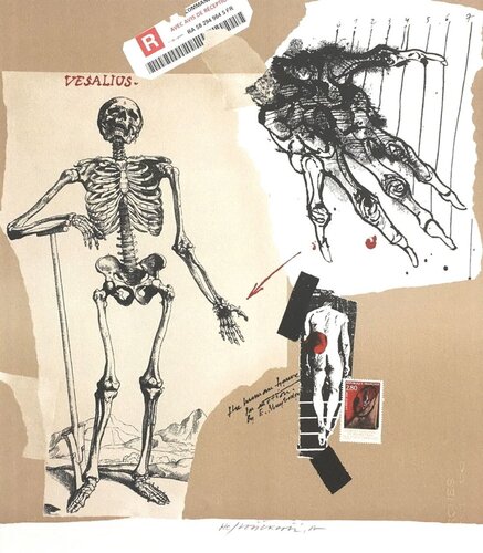 Vesalius by Vladimir Velickovic, 인쇄 for Sale on Singulart