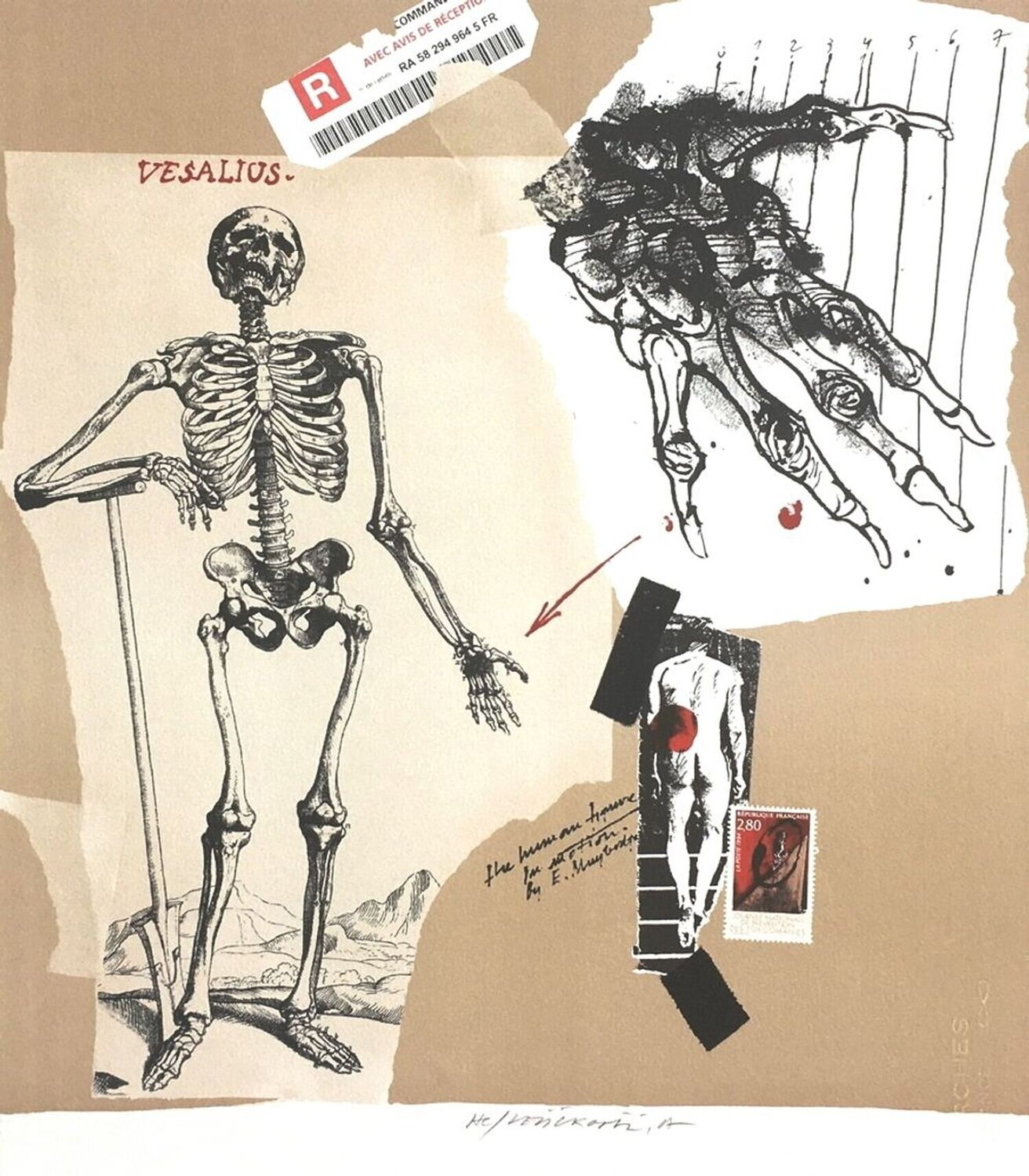 Vesalius Vladimir Velickovic