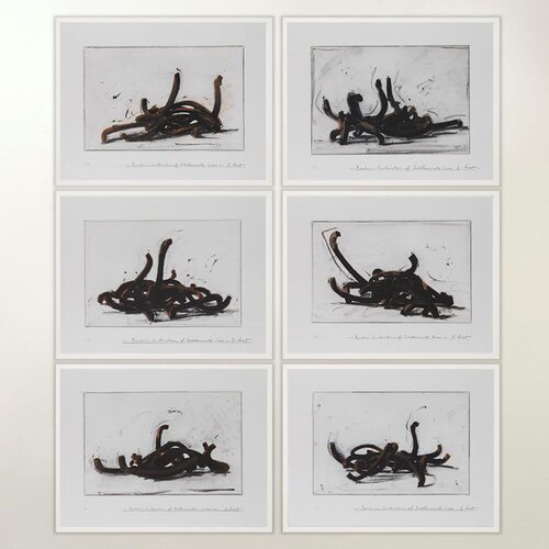 Random Combination of Indeterminate Lines (Portfolio of 6) di Bernar Venet, Stampa in vendita su Singulart