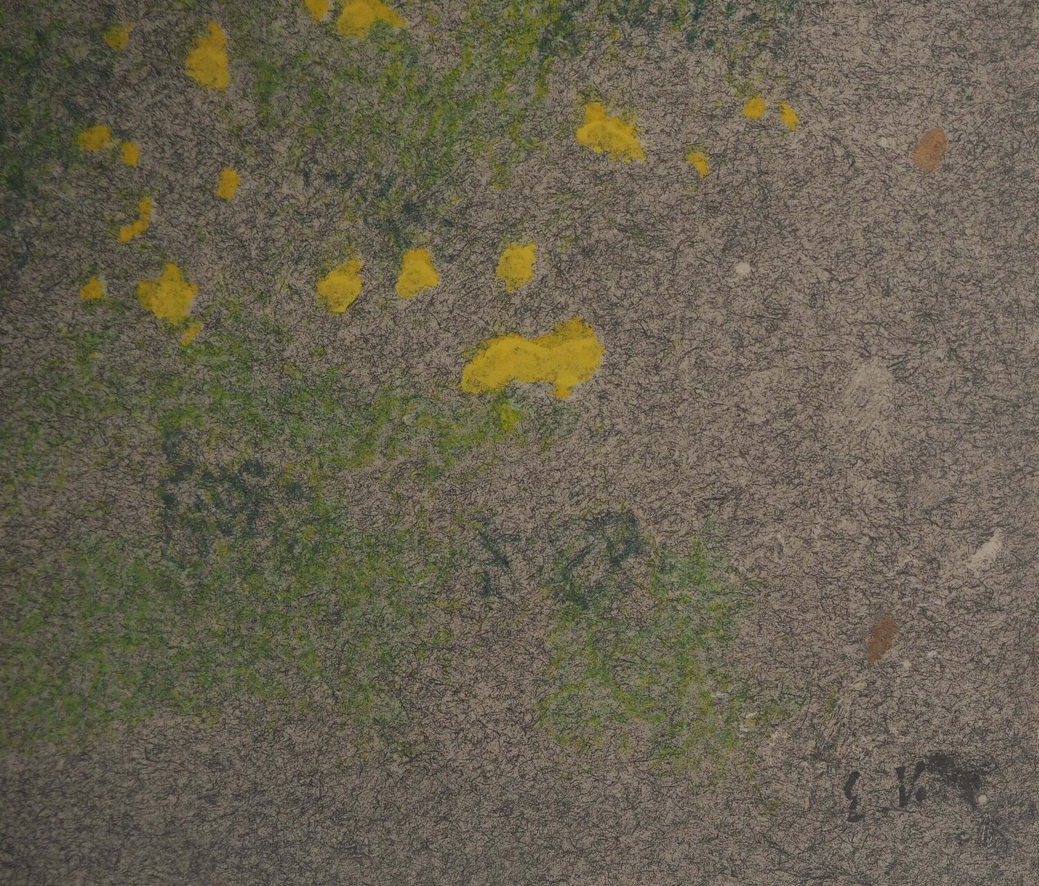 La vague Édouard Vuillard