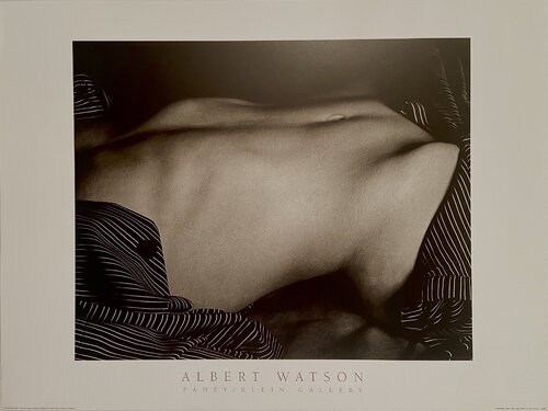 "Charlotte, Torso, NYC July 1988"  Fahey/ Klein Gallery, Rare High Quality Poster SUPER RARE, FREE DOMESTIC SHIPPING by Albert Watson, 版畫 for Sale on Singulart