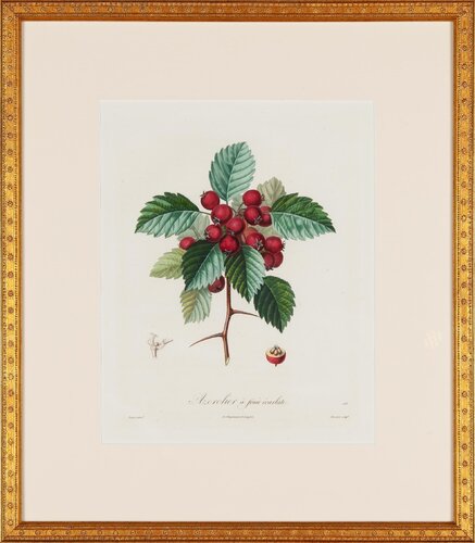 Hawthorne by Jean-Antoine Watteau, 版画 for Sale on Singulart