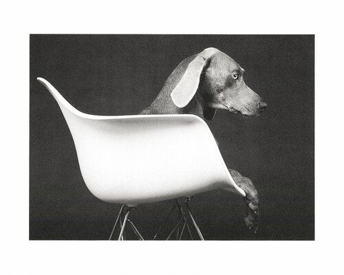 【希少】ウィリアム・ウェグマン展図録 1997 美品 ウィリアム・ウェグマン 図録 william wegman 良著 アート