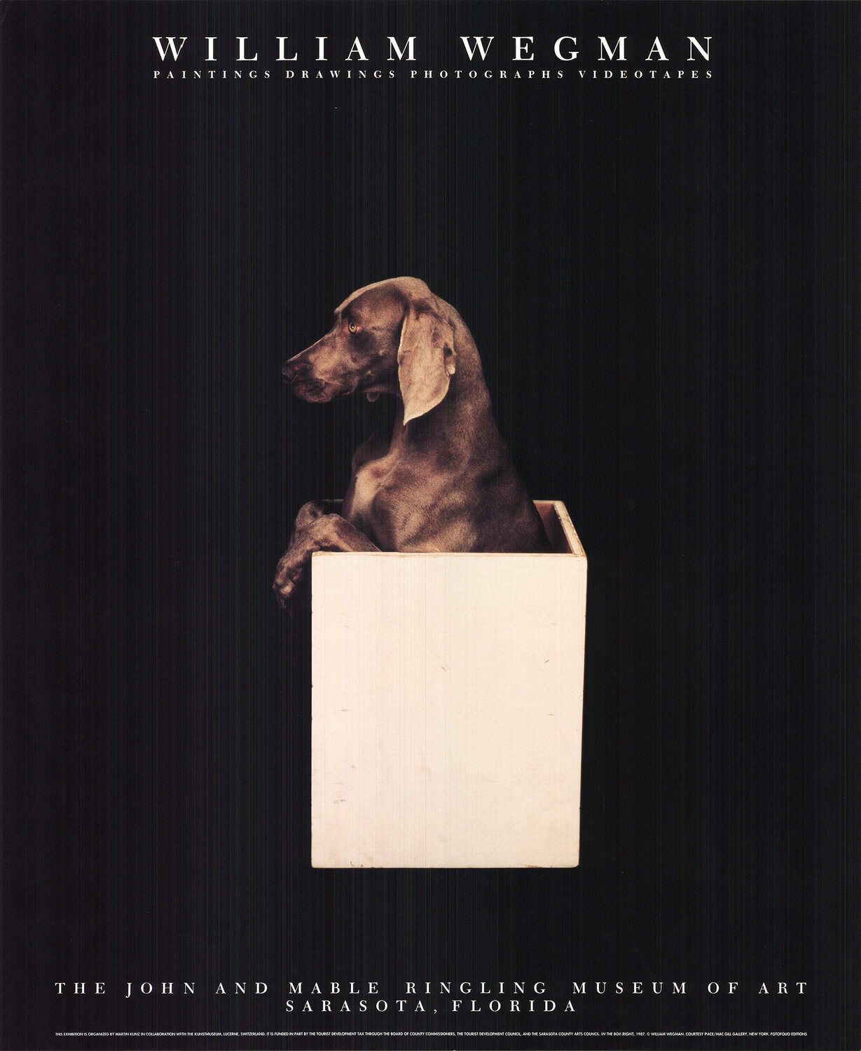 In the Box (Right) William Wegman
