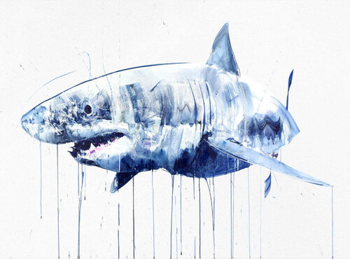 Great White par Dave White, Édition en vente sur Singulart