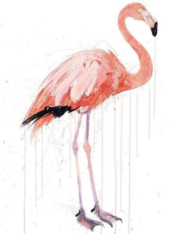 Flamingo II, Diamond Dust Dave White