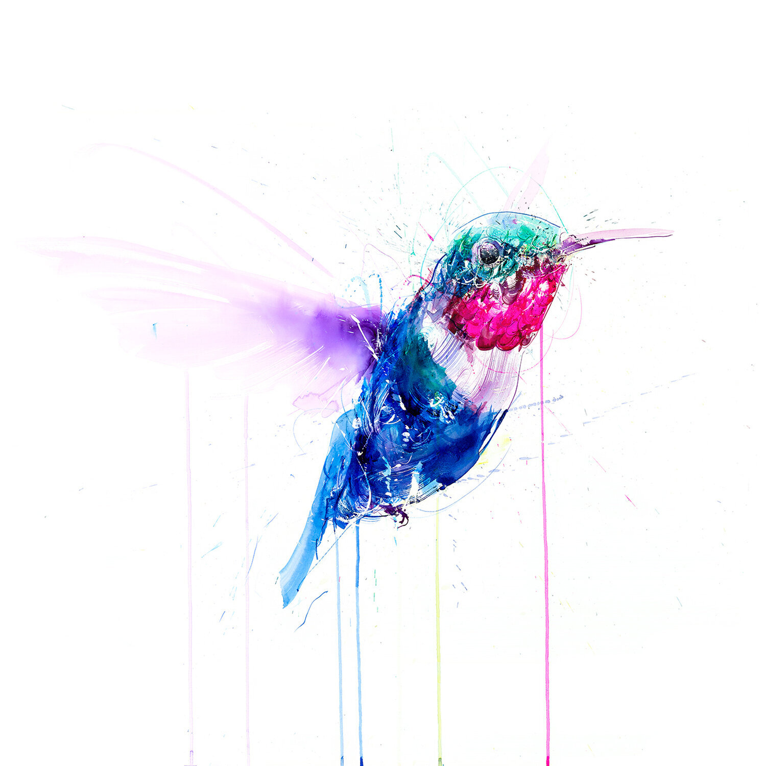 Hummingbird I, Hand Finished Dave White
