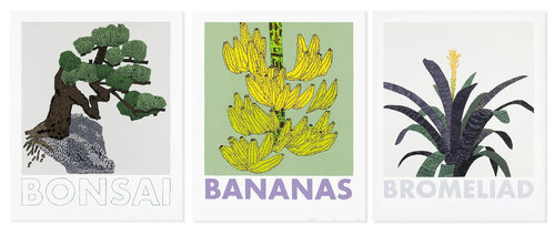 Bonsai, Banana and Bromelaid von Jonas Wood, Druck kaufen auf Singulart