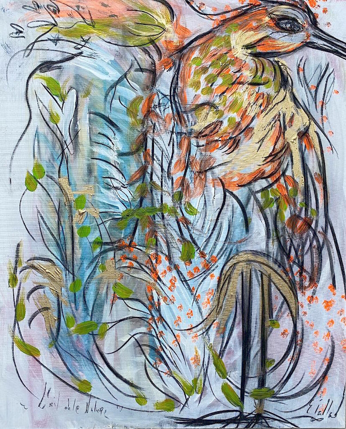L'oeil de la Nature Emilie Teillaud