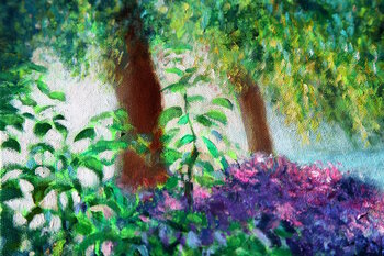 Monet's Morning Emil Aziz