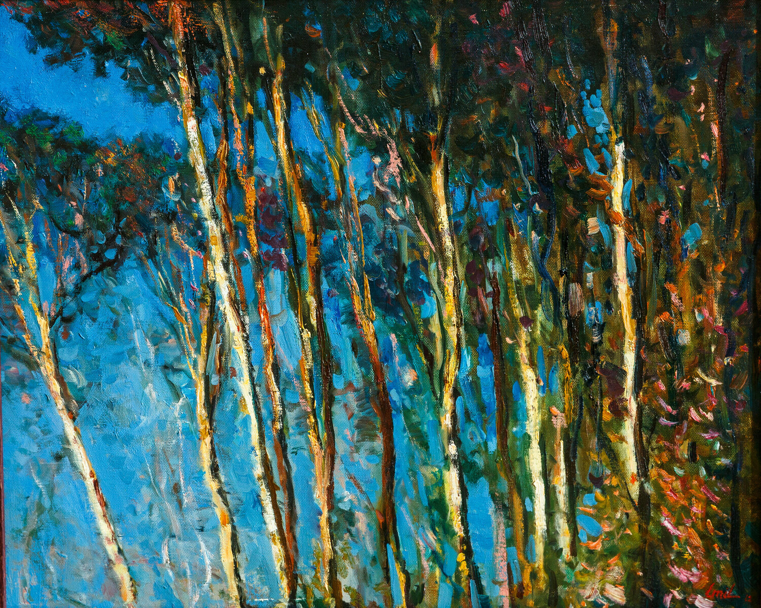 Hidden Beauty Emil Aziz