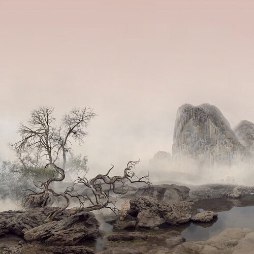 Imagined Landscape - Tiger 2/15 par Yang Yongliang 杨泳梁, Édition en vente sur Singulart