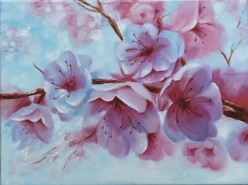 Apple tree flowers von Tatiana Altmann, Malerei kaufen auf Singulart