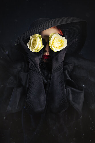 The Woman with the rose II Dibond + Caisse Américaine by Cédric Brion, Photography for Sale on Singulart