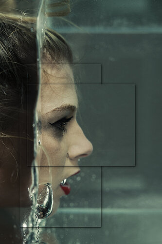 L'Aquarium, Dibond en relief (Superposition de Dibonds) + Caisse Américaine Métal von Cédric Brion, Fotografie kaufen auf Singulart