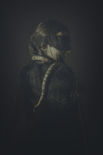 Mélancolie II- Dibond + Caisse américaine di Cédric Brion, Fotografia in vendita su Singulart