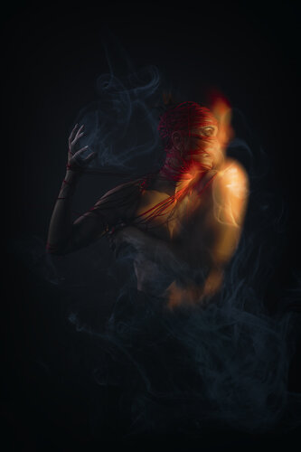 The Red II - Dibond + Caisse américaine de Cédric Brion, Fotografía a la venta en Singulart