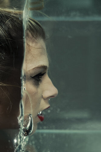 Aquarium - Dibond + Caisse américaine von Cédric Brion, Fotografie kaufen auf Singulart