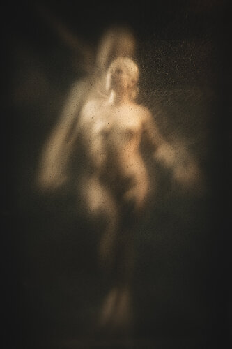 Corpus IV - Dibond + Caisse américaine par Cédric Brion, Photographie en vente sur Singulart