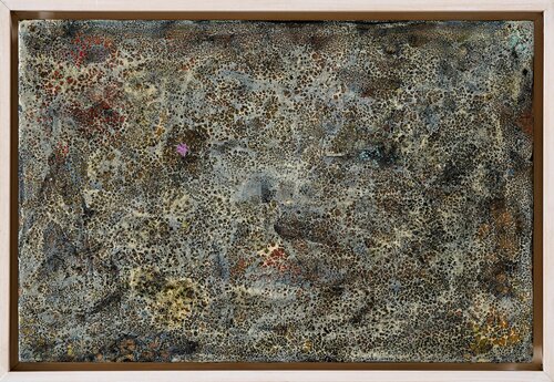 IGUANA von Xavi Castel, Malerei kaufen auf Singulart