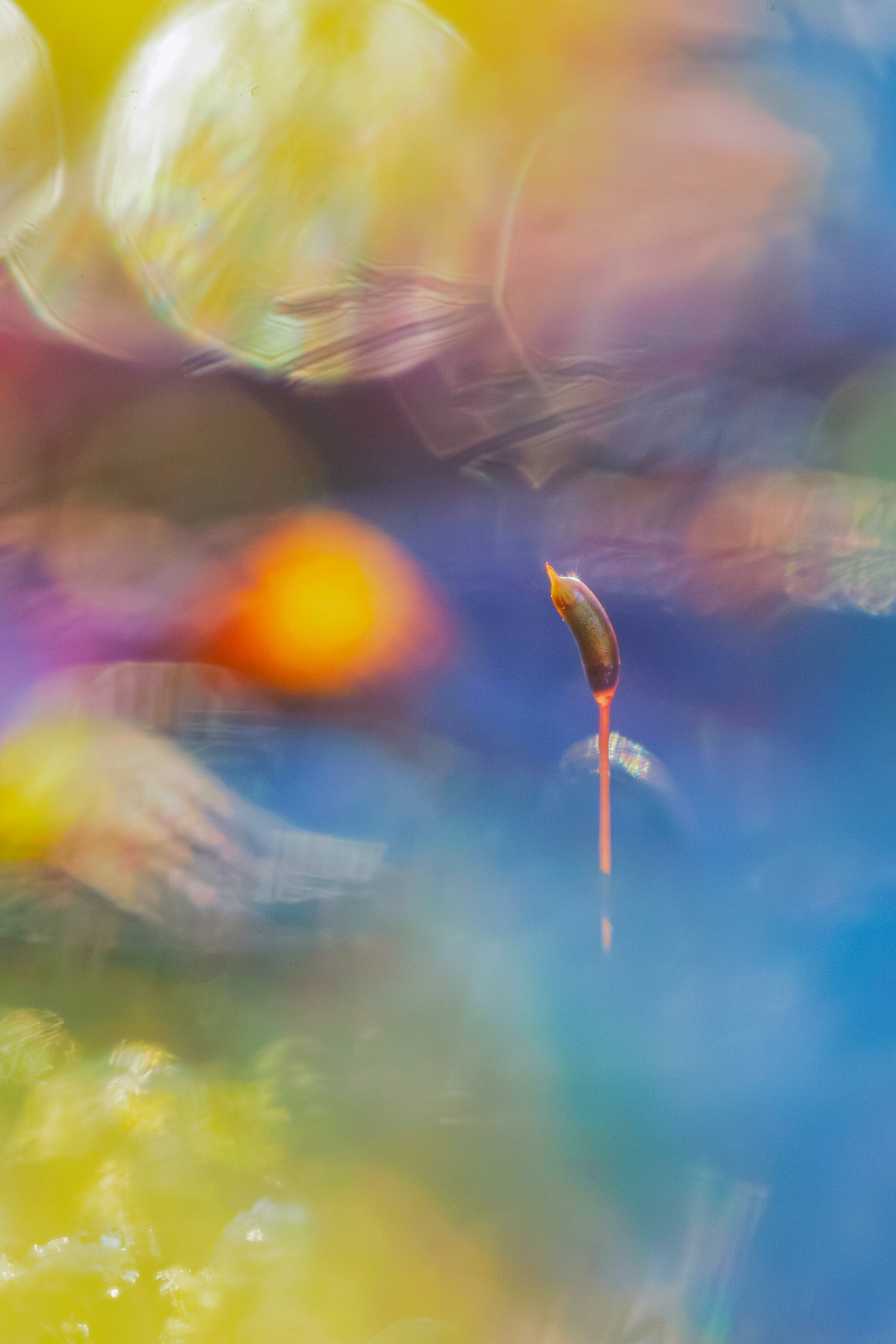 La exposición interior