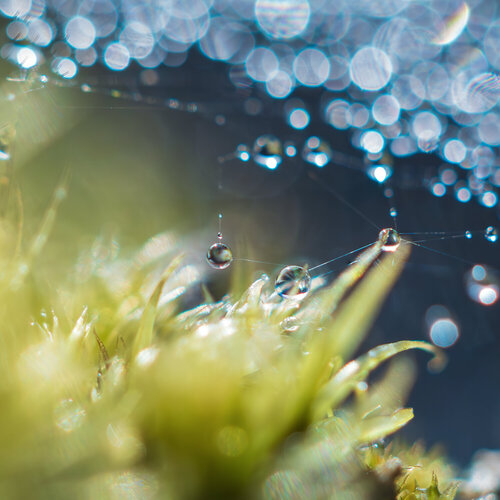 Vulnerable Soul. Recovery - Medium size fine art print on paper von Inna Etuvgi, Fotografie kaufen auf Singulart