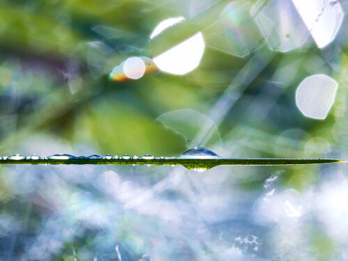 Dreamscapes. Beyond - Medium size fine art photography print on paper Inna Etuvgi