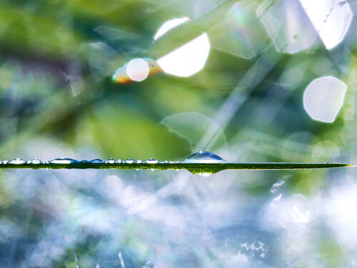 Dreamscapes. Beyond - Collector's Master Edition - art photo print di Inna Etuvgi, Fotografia in vendita su Singulart