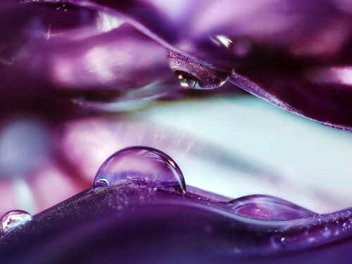 Onion Planet Dreamy Landscapes - Studio Edition - art photo print von Inna Etuvgi, Fotografie kaufen auf Singulart