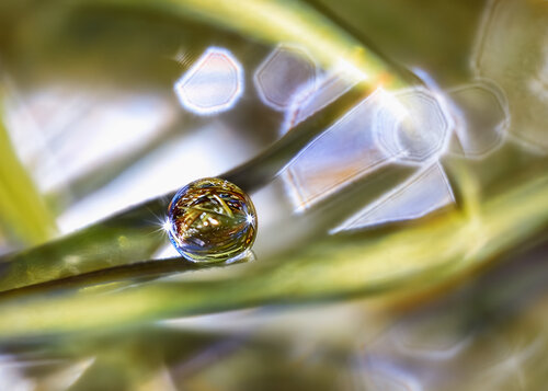 Self-reflection - fine art photography print Inna Etuvgi
