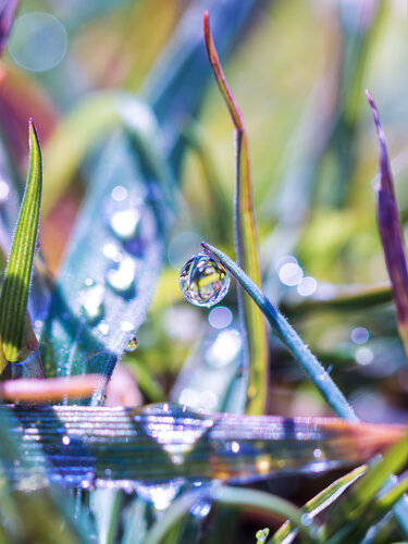 RAINBOW MORNING - vibrant fine art photography print von Inna Etuvgi, Fotografie kaufen auf Singulart